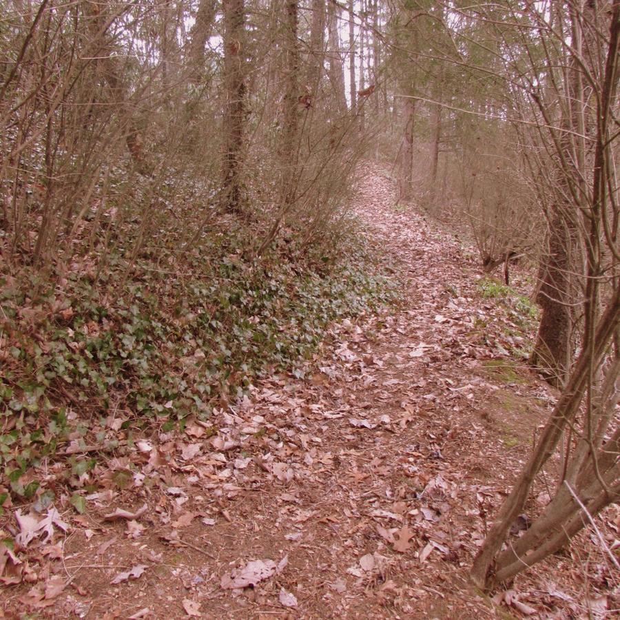 Red Leaf River Inn Waynesville Luaran gambar