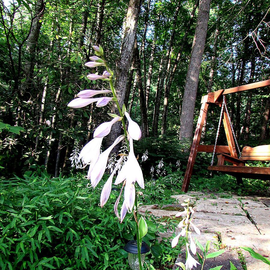 Red Leaf River Inn Waynesville Luaran gambar
